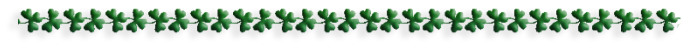 24203863-2 (700x47, 42Kb)