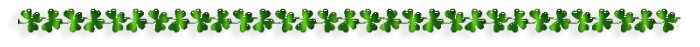 24203863-2 (700x47, 40Kb)