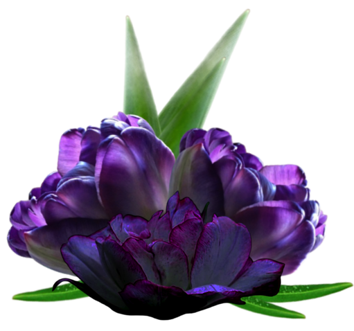 fL8qLHSyiLxw (511x478, 223Kb)
