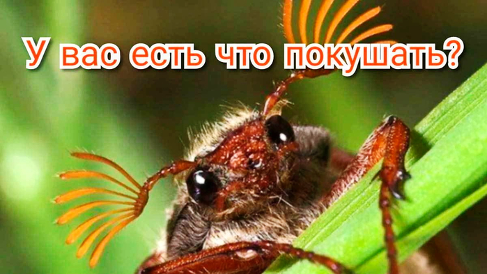 9 (700x393, 310Kb)