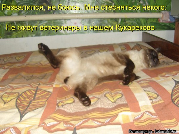 4743317_i23094 (600x449, 75Kb)