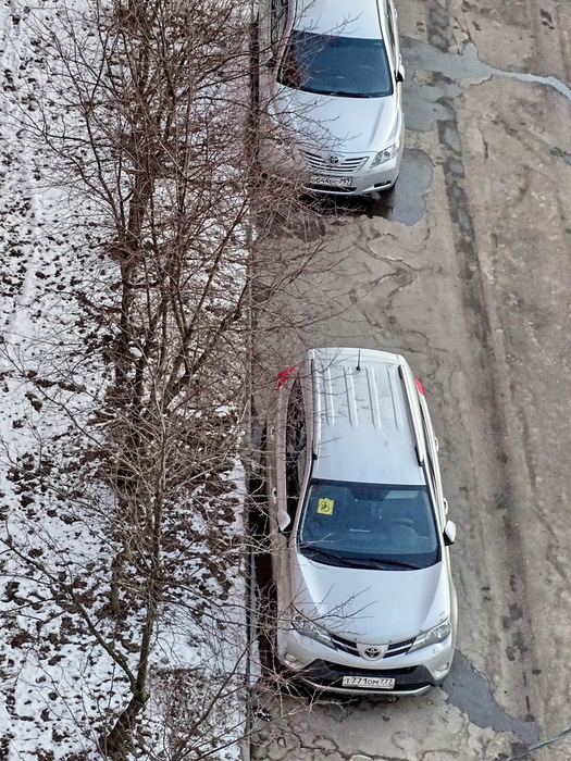 DSC01520 (525x700, 207Kb)