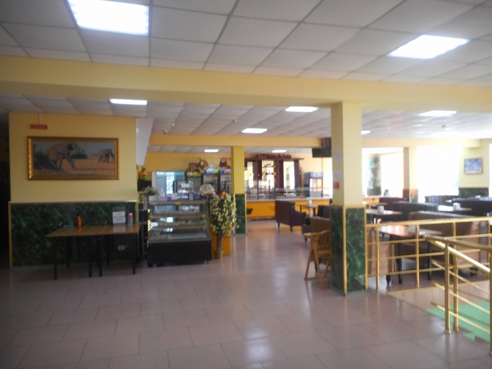 4752699_ttDSCN0329 (700x525, 213Kb)