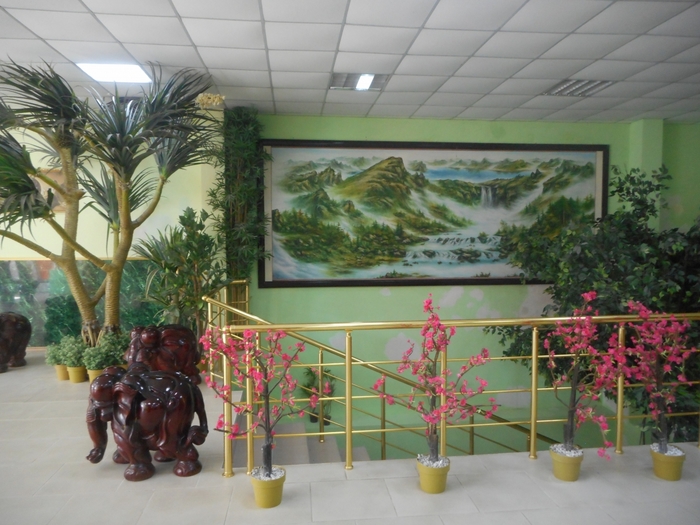 4752699_ttDSCN0337 (700x525, 278Kb)