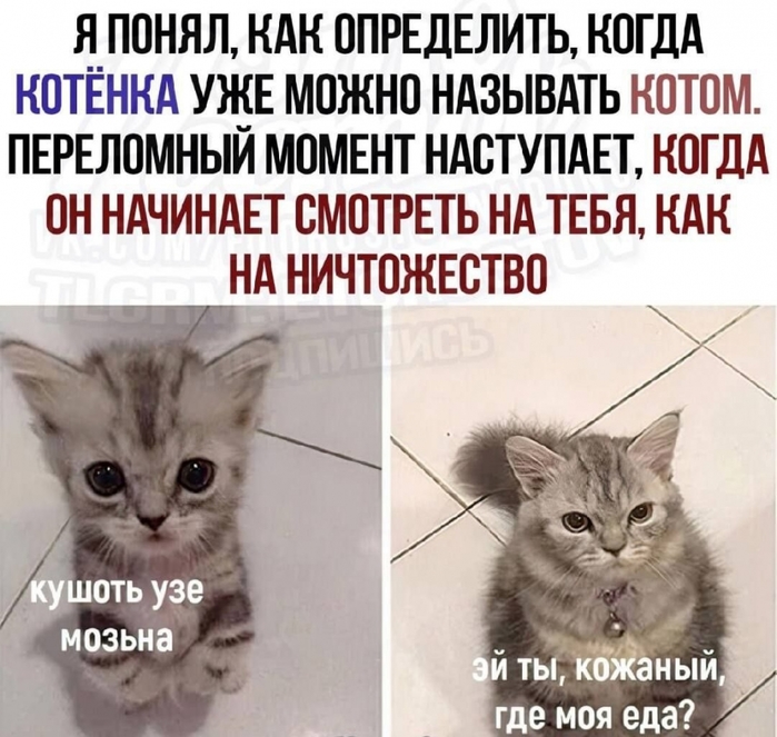 4384049_IMG_20250228_084955_940 (700x663, 278Kb)