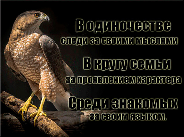4743317_h11135 (640x479, 110Kb)