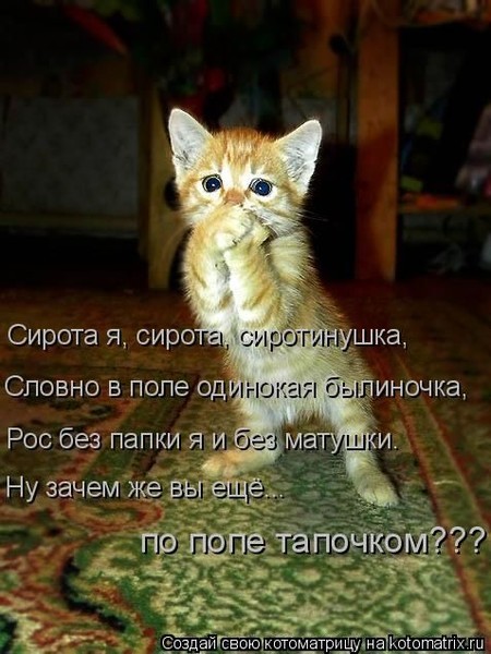 4743317_i23178 (450x600, 75Kb)