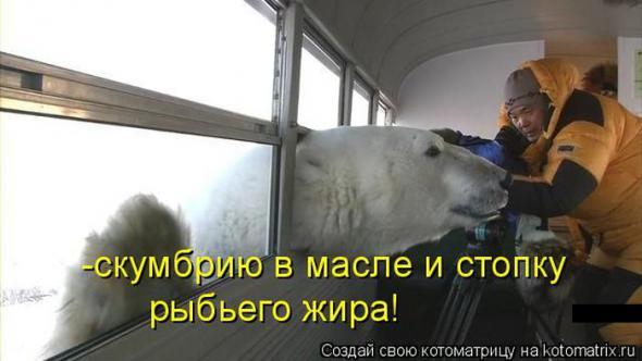 4743317_i23182 (590x332, 27Kb)