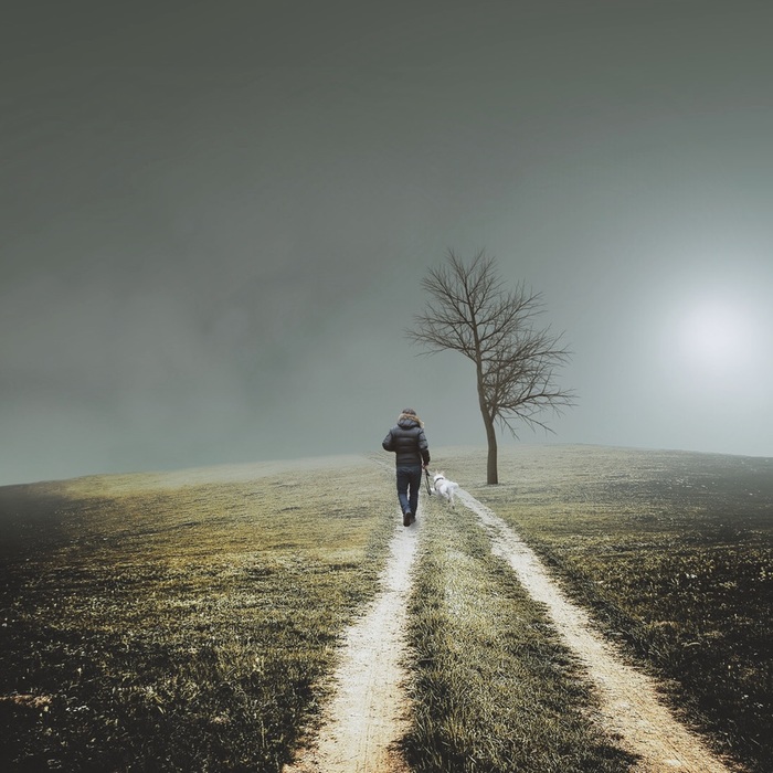 man-sea-tree-nature-horizon-walking-mountain-snow-winter-light-cloud-fog-mist-trail-sunlight-morning-hill-wind-dog-hike-weather-atmospheric-phenomenon-1168437 (700x700, 145Kb)