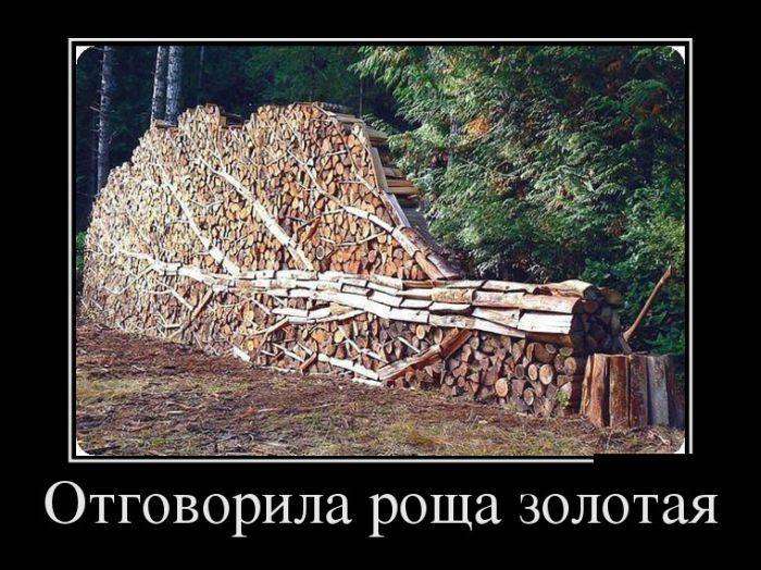 4743317_1442201460_11 (700x524, 76Kb)