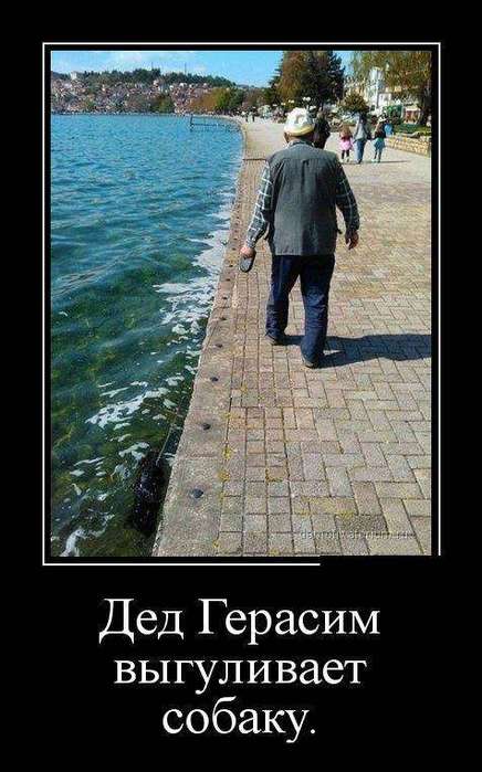 4743317_1442201446_13 (436x700, 47Kb)