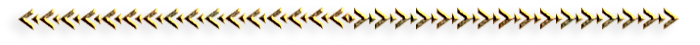 19 (700x45, 43Kb)