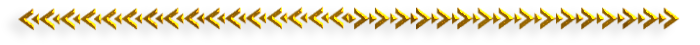 19 (700x45, 38Kb)
