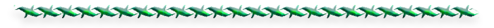 8 (700x40, 33Kb)