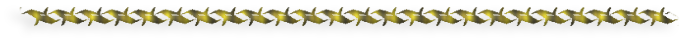 8 (700x40, 32Kb)
