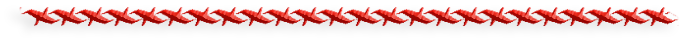 8 (700x40, 29Kb)