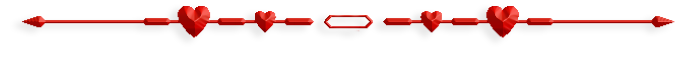 12735004-4 (700x57, 18Kb)