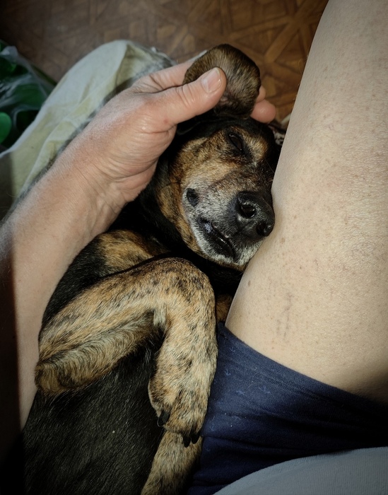Веня