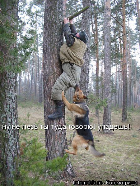 4743317_rg (450x600, 82Kb)