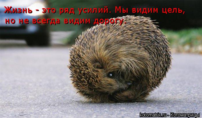 4743317_0G (700x409, 61Kb)