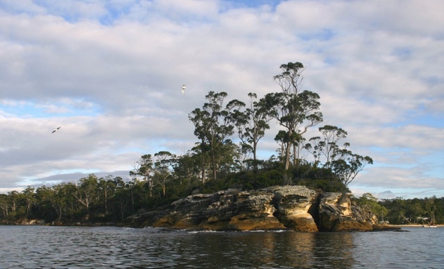 4743317_medium121048 (640x388, 88Kb)