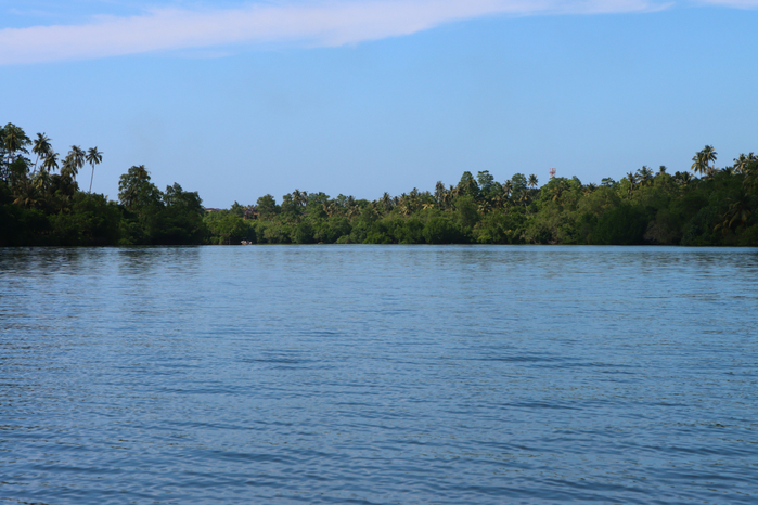 IMG_1979 (700x466, 398Kb)
