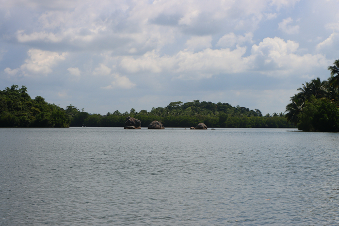 IMG_2005 (700x466, 369Kb)