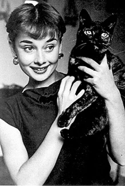 3109898_odri_hepburn (437x650, 50Kb)