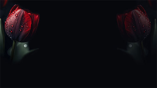 8.jpg (500x281, 10Kb)