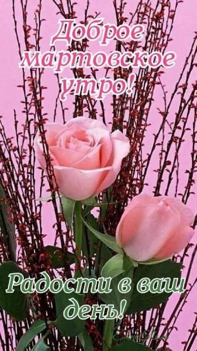 4743317_image20210322_12_24_57 (393x700, 242Kb)