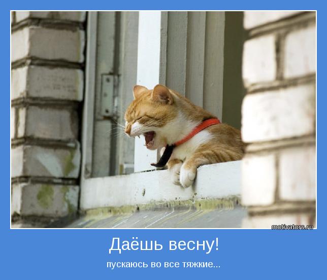 4743317_motivator13727 (644x550, 39Kb)