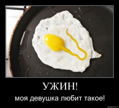 4743317_1254135640_124 (500x453, 33Kb)