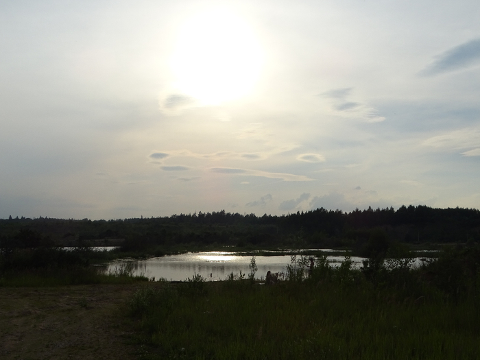 DSC00601 (700x525, 233Kb)
