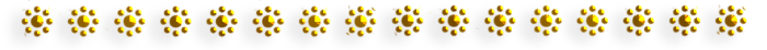 3 (700x46, 43Kb)