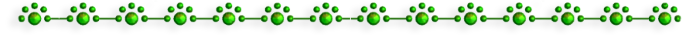 -3 (700x35, 32Kb)