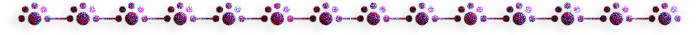 -3 (700x35, 42Kb)