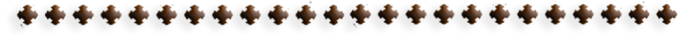 -5 (700x35, 29Kb)