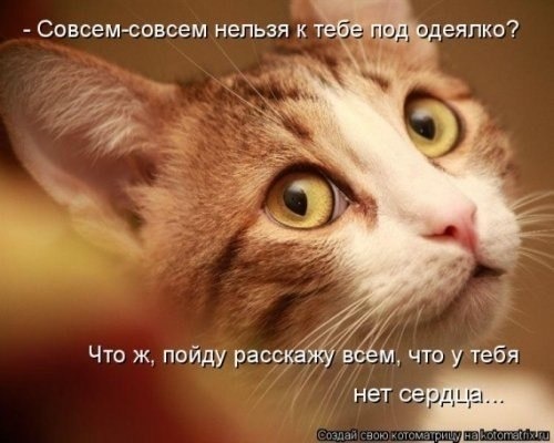 https://img0.liveinternet.ru/images/attach/d/4/163/852/163852678_4743317_i23219.jpg