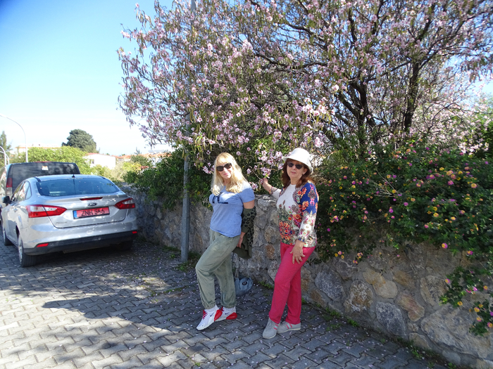 DSC00223 (700x525, 578Kb)