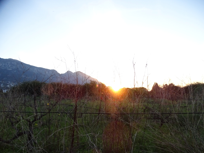 DSC00396 (700x525, 278Kb)