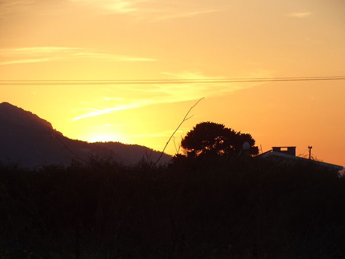 DSC00400 (700x525, 255Kb)