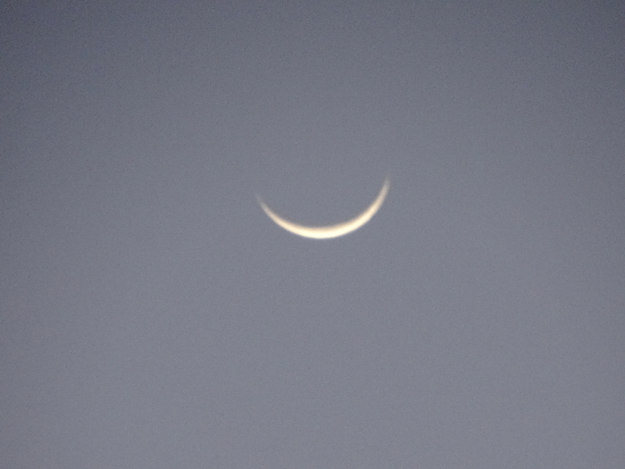 DSC00405 (700x525, 259Kb)