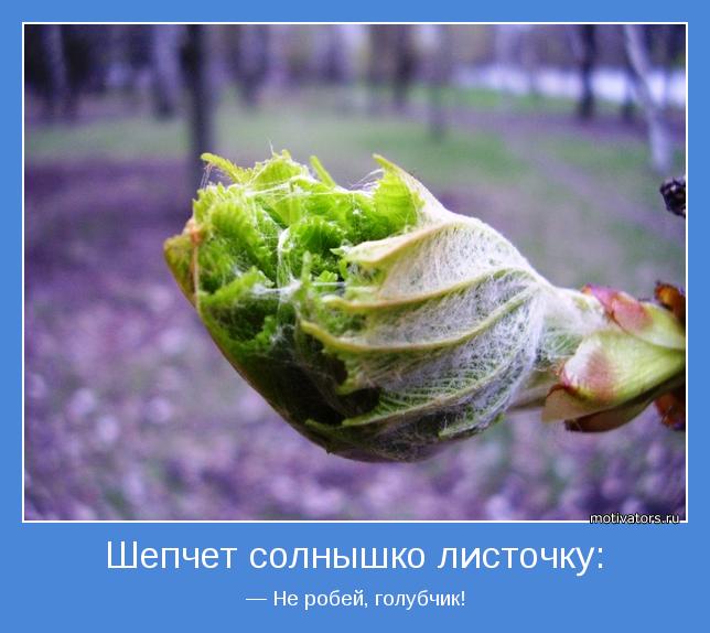 4743317_motivator14080 (644x574, 45Kb)