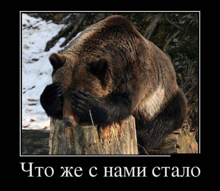 4743317_1442201431_04 (700x608, 55Kb)