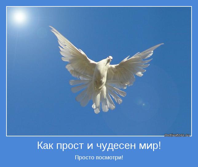 4743317_motivator19724 (644x545, 26Kb)