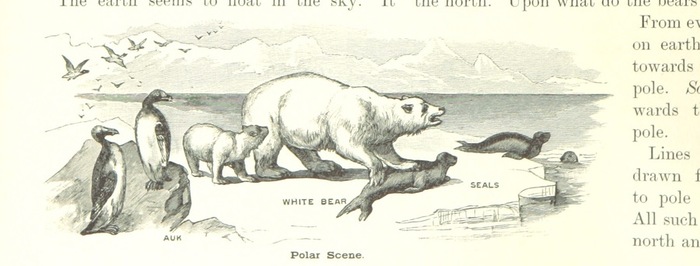 34_of_'Primary_Geography._(With_illustrations.)'_(11304821373) (700x266, 55Kb)