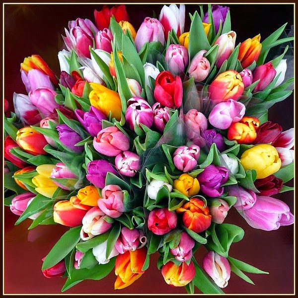 getImageю..... (600x600, 142Kb)