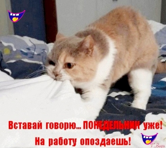 4743317_d03c87ca (700x622, 93Kb)