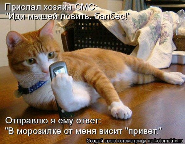 4743317_i23215 (600x467, 91Kb)