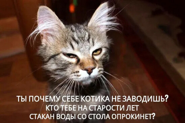 https://img0.liveinternet.ru/images/attach/d/4/163/865/163865082_4743317_163842846_159713959_4743317_i.jpg